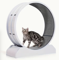 33-Inch Large Carpet-Surface Cat Exercise Wheel🐈🐈🐈