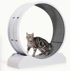 33-Inch Large Carpet-Surface Cat Exercise Wheel🐈🐈🐈