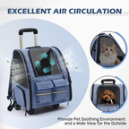 Pet rolling backpack with detachable wheels